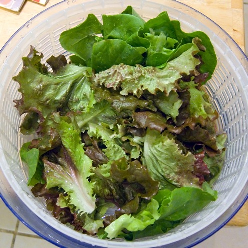 lettuce spinner.jpg